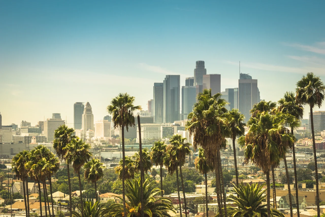 Virtual Medical Assistant in Los Angeles, California