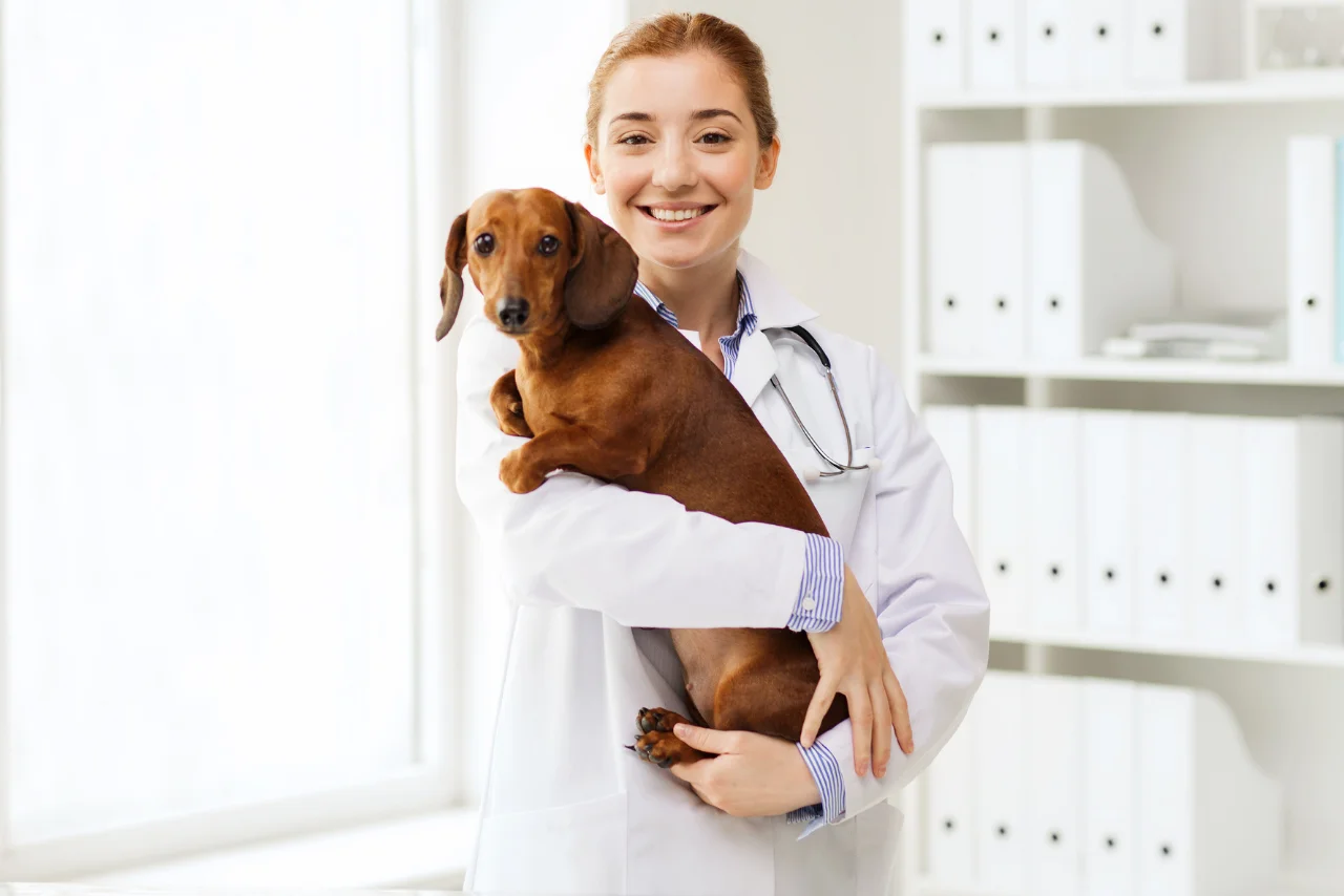 Virtual Veterinary Assistant In Sacramento